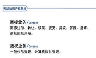 专业与诚信并行——天朋知识产权代理与贷款申报服务详解